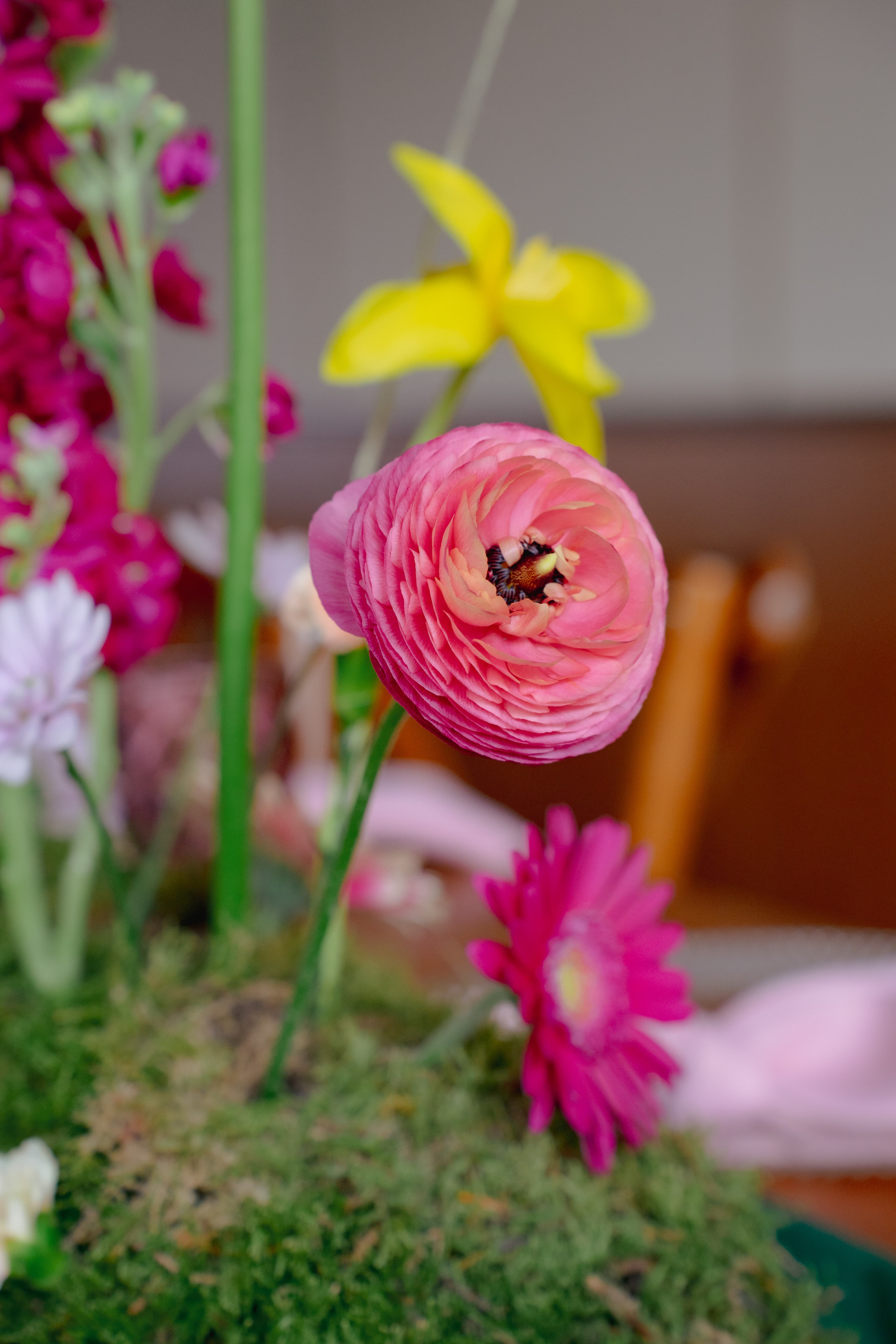 IMG_3307-7uNFkFAIlyhxys0v5sK9Ki4BjfQtSf